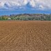 Cumpar terenuri agricole